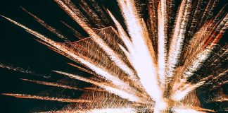 firework exploding against clear night sky