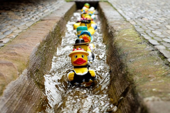 toy ducks in a row in drain